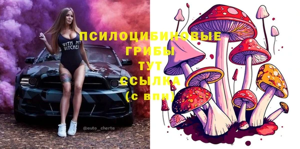 гидропоника Абдулино