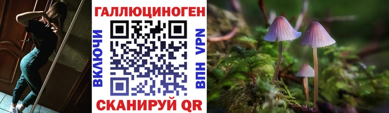 Галлюциногенные грибы Cubensis Слюдянка